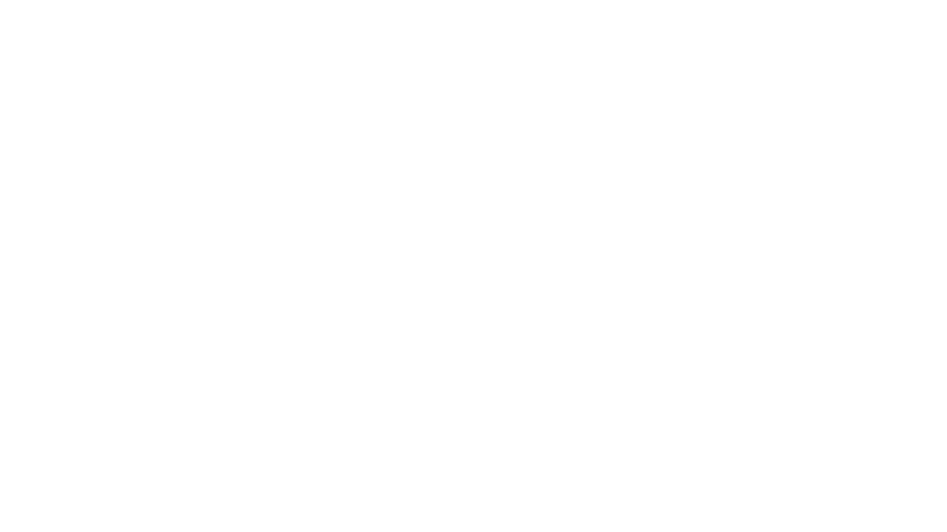 Ally Logo